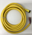 Brad Harrison 1300080165 / 47449  12-Pole Female Cable 20ft-5