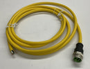 Murr 7700-A4001-U1C0300 7/8 Mini Male Single-End 4-Pole 3-Meter Cable-4