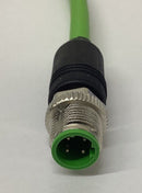 Murr 7000-44511-7960050 M12 Male/Male 4-Pole Shielded Cable .5M-4