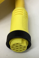 Brad Harrison 1300080165 / 47449  12-Pole Female Cable 20ft-3