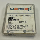 Mersen GGC1  1-Amp Fast Acting Fuses 125/250 VAC 5-Pack-4