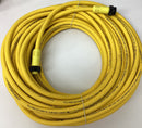Brad WoodHead 13000100880 / 114030K12M180 4-Pole Cable Cordset-4