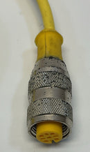 Turck RK4T-1-PSG 3M Cordset U2151-21-4