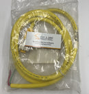 Turck RKM 35-2M/S600 Mini Fast Cable 3-Pole 2M U2038-19-5