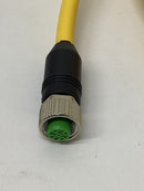 Murr 7700-40041-1611000 M12 Male/Female 5-Pole Cable 10 Meters-4