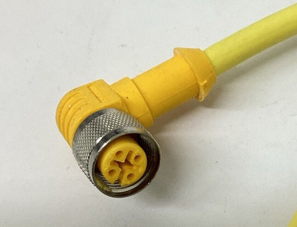 Turck WK4.41T-6/S529 Cable M12, 90 Deg. Female Single End 6M