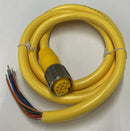 Turck RKM 106-2M/S3059 Cordset-3