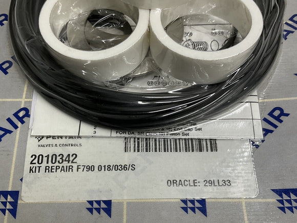 Pentair 2010342 / F790 018/036/S Repair Kit