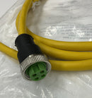 Murr 7700-A4021-U1C0200 Mini 7/8" 4-Pole, Female Power Cable 2 Meters-3