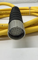 Turck CKCM12-7-5 Straight Cordset Female M23  8-Pin  U4708-29-3