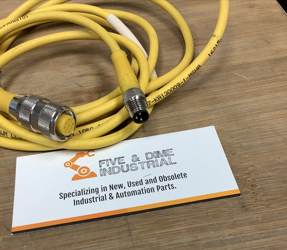 Turck RK 4T-2-PSG 3M Cable Cordset Hybrid Molded U2151-04