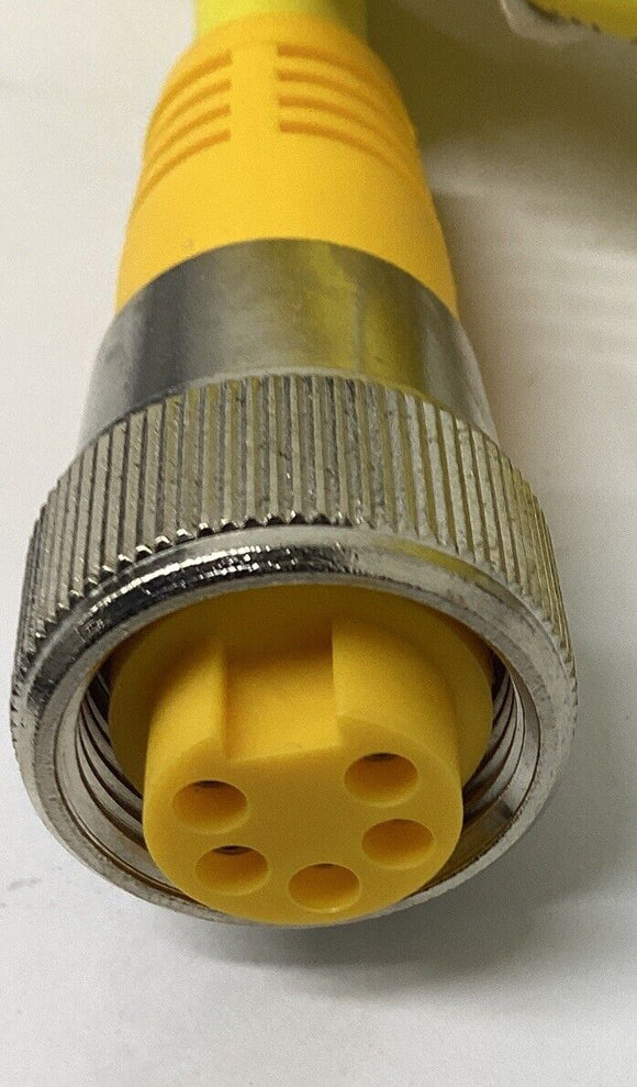 Turck RKM 55-4M/S600 Cable Cordset MiniFast 5-Pin 4-Meter U5164-1