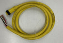 Brad Harrison 208000A01F060 Cordset,8-Pin,Receptacle,Female-1