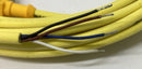Turck WK4.41T-6/S529 Cable M12, 90 Deg. Female Single End 6M-4