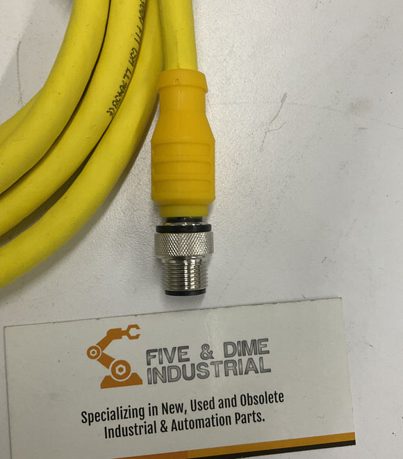 Turck RKG 4.4T-2-RSE 4.4T/S600 Cordset U5317-92