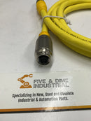 Turck RKG 4.4T-2-RSE 4.4T/S600 Cordset U5317-92-3