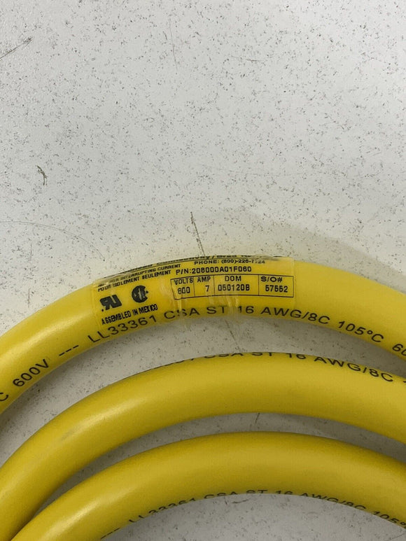 Brad Harrison 208000A01F060 Cordset,8-Pin,Receptacle,Female