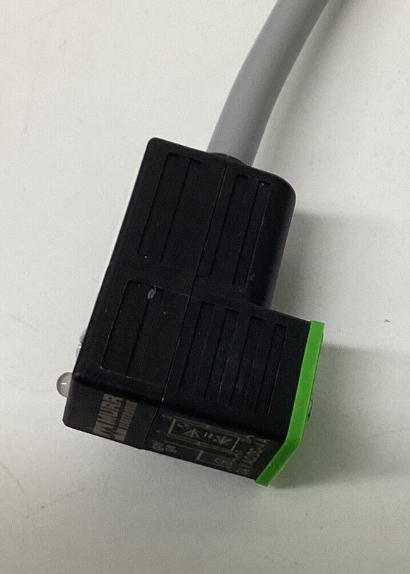 Murr 7000-94021-2160500 MSUD Valve Plug 3-Wire Single End Cable 5M
