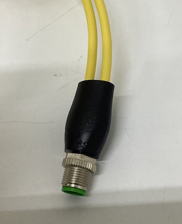 Murr 7000-40721-0130150 M12 Y-Splitter 3-Wire 1.5 Meters