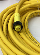 Brad WoodHead 13000100880 / 114030K12M180 4-Pole Cable Cordset-3