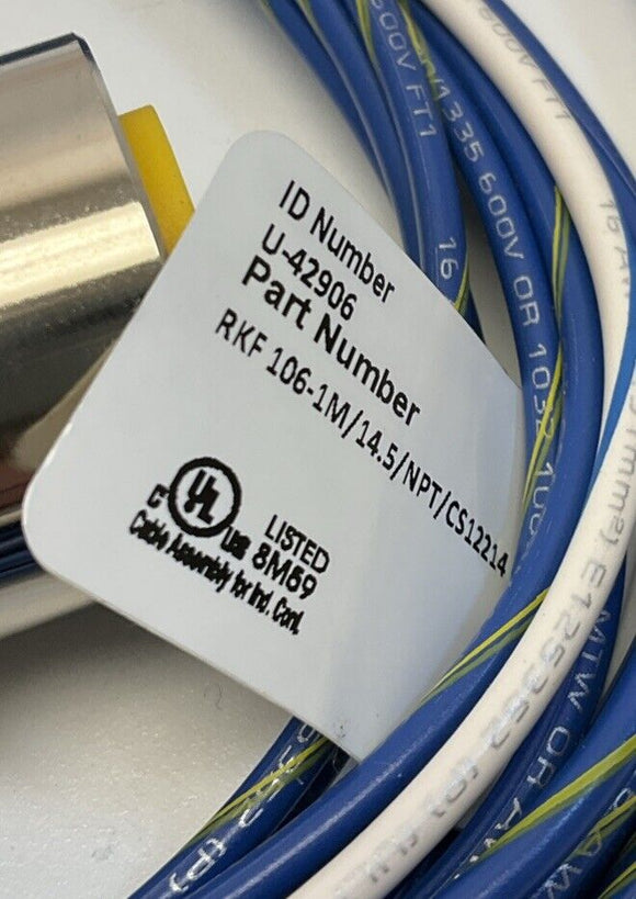 Turck RKF 106-1M/14.5/NPT/CS12214 MiniFast Receptacle U-42906