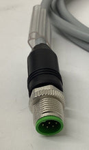 Murr 7000-48001-2920200 M12, 8-Pole Male/Female Cable 2M-4