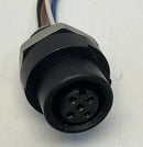 Allen Bradley 888D-F4AC2-0M3 Ser B. 4-Pin Micro Female 1/4"-18NPT Receptacle-4