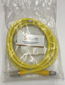 Turck RKG 4.4T-2-RSE 4.4T/S600 Cordset U5317-92-6