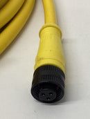 Brad Harrison 703000A03F120 / 70215-18G  3P, 12''  Cordset-4