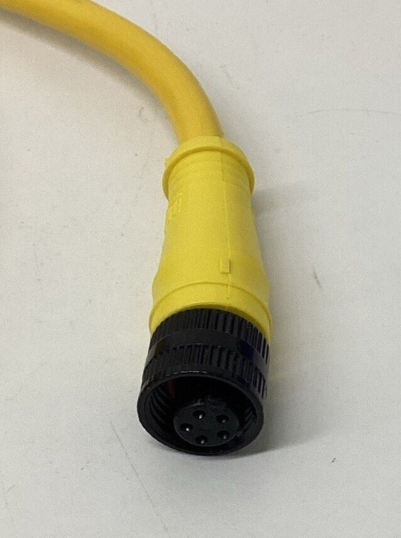 Brad Harrison 705000D02F060 / 70632 5Pin, Female, Straight Single-End 6 Ft Cable