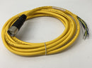 Turck CKCM12-7-5 Straight Cordset Female M23  8-Pin  U4708-29-5