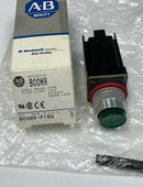 Allen Bradley 800MR-P16G Green Small Round Pilot Lamp 120 VAC-1