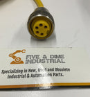 Turck RKM 50-10M Power Cable Cordset 300V 9A-3
