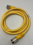 Turck RSM RKM 106-2M/S3059 Minifast Double Ended Cordset U-31082-6