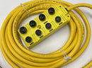 Brad Harrison BTY801N-FBE-05  8-Port Interconnected Cable. NPN MPIS-3