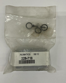 Numatics 229-718 Single Station Manifold-1