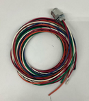 Lumberg 801M-698/2M 8 Pole Female Receptacle 500004617  2 Meters-4