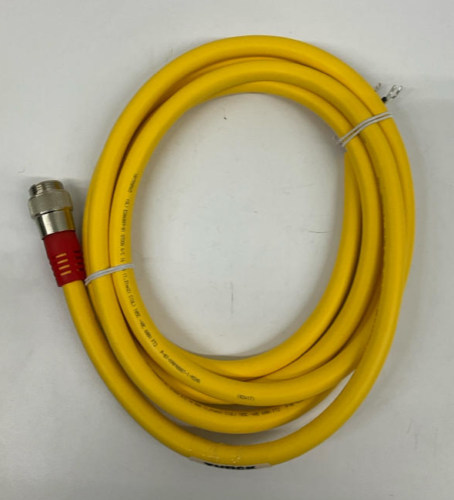 Turck RSM66-3M/S1055 Cable 6-Pin Minifast Male Straight Single End  3-Meter
