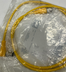 Balluff BCC M415-M424-3A-304-VX44T2-010 Cable Cordset BCC05P6-5