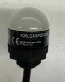 Banner K30LGXXPQTASK Panel Mount Lamp Light Green 22mm-3