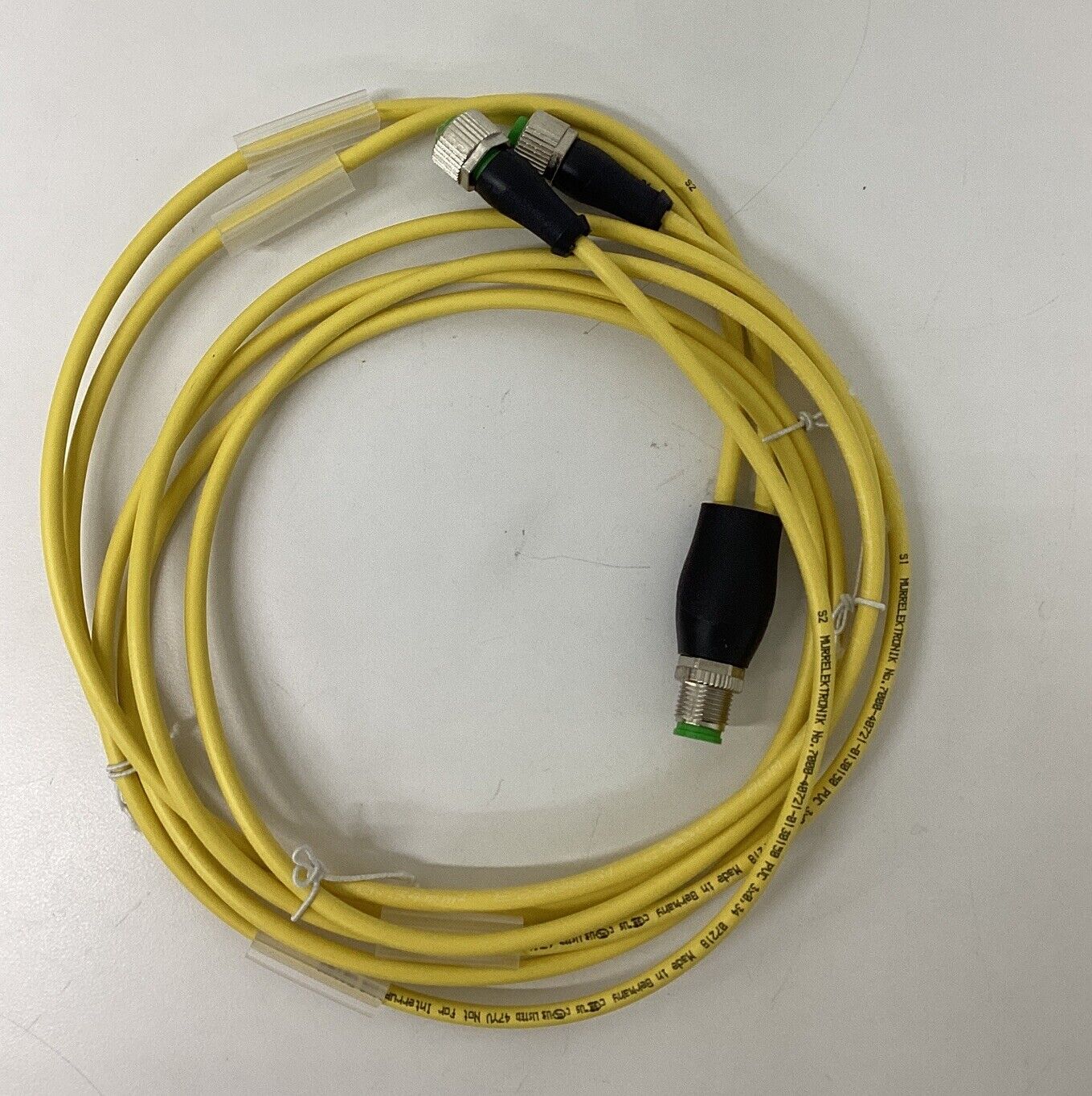 Murr 7000-40721-0130150 M12 Y-Splitter 3-Wire 1.5 Meters (CBL147)