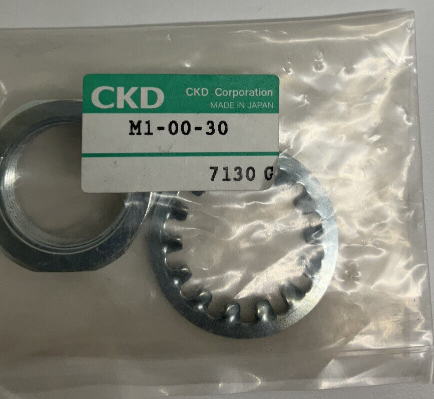 CKD M1-00-30 Cylinder Lock Washer & Nut (BL206) - 0