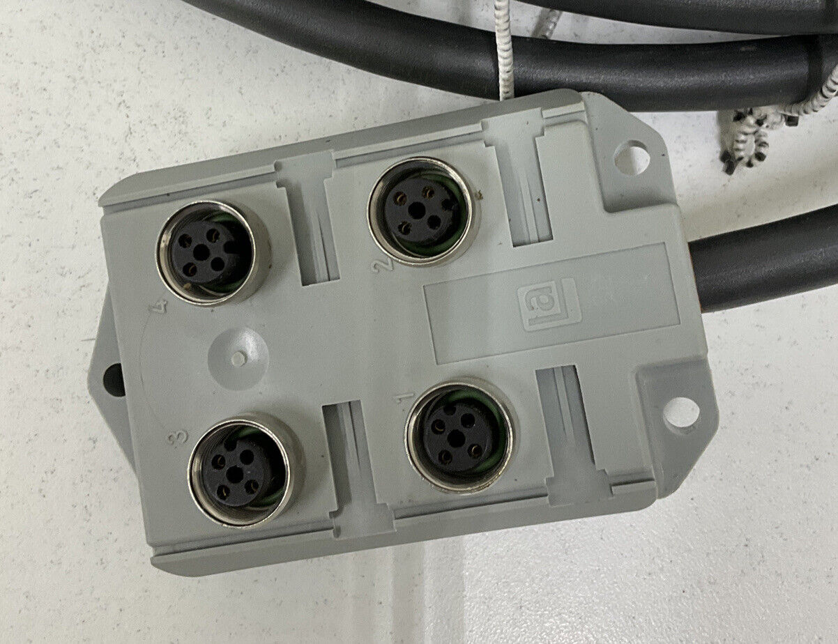 Lumberg Automation ASBV4-4/3-256/10M Actuator Sensor Box (CBL137)