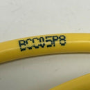 Balluff BCC05P8 M12, A-Coded 5-Pin, 4-Wire Male Angled x Female Straight 2-Meter-3