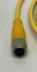 Balluff BCC05P8 M12, A-Coded 5-Pin, 4-Wire Male Angled x Female Straight 2-Meter-4