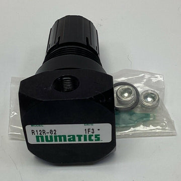 Numatics R12R-02 Regulator 1/4''NPT 125 PSI Max - 0