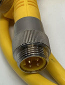 Turck RSM-WKM-46-1M / U2290-4 Minifast Cable Cordset 4-Pin, 4-Pole 1-Meter-4