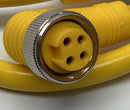 Turck RSM-WKM-46-1M / U2290-4 Minifast Cable Cordset 4-Pin, 4-Pole 1-Meter-5