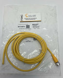 Balluff BCC M415-0000-1A-003-VX44T2-030 Cable Cordset BCC05FH 3-Meters-1