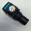 Dixon R08-01RG Pressure Regulator 0-150 PSI 1/8'' NPT-2